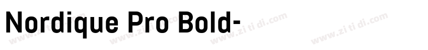Nordique Pro Bold字体转换